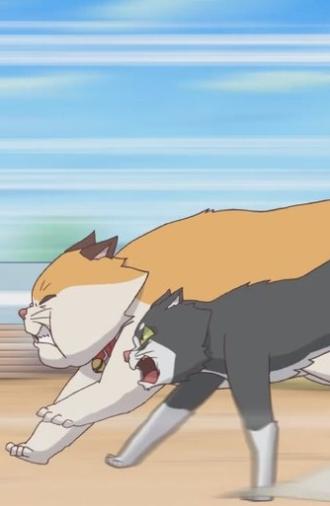 Cats Run (2012)