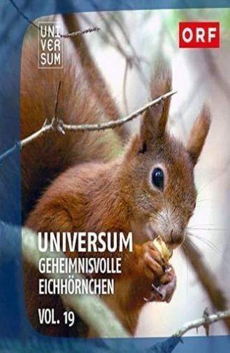 Geheimnisvolle Eichhörnchen (2018)