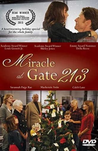 Miracle at Gate 213 (2013)