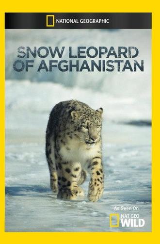 Snow Leopard of Afghanistan (2012)