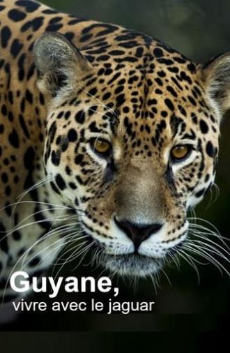 Guyane, vivre avec le jaguar (2024)