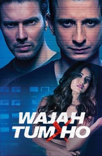 Wajah Tum Ho (2016)