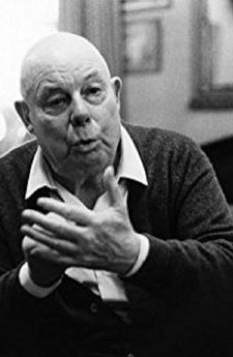 Jean Renoir: Part Two - Hollywood and Beyond (1993)