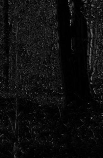 Phosphenes II (2024)