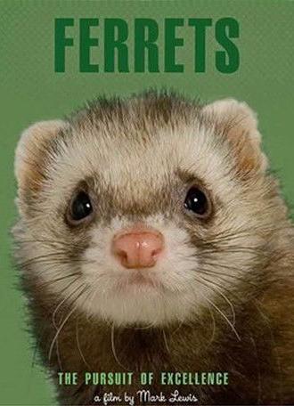 Ferrets (2007)