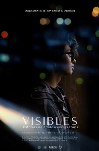 Visible: Transgender Youth Stories (2020)