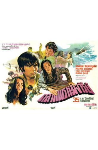 The Virgin Market (1973)