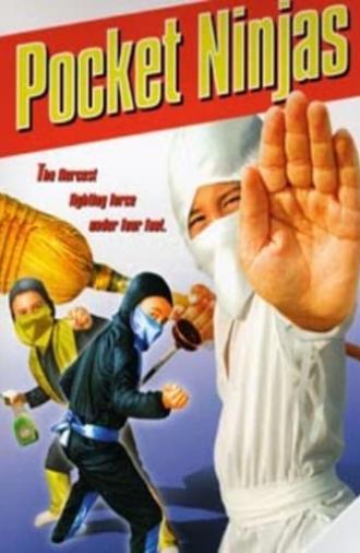 Pocket Ninjas (1997)