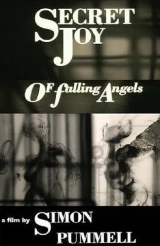 Secret Joy of Falling Angels (1991)