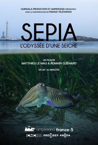 Sépia, l'odyssée d'une seiche (2024)