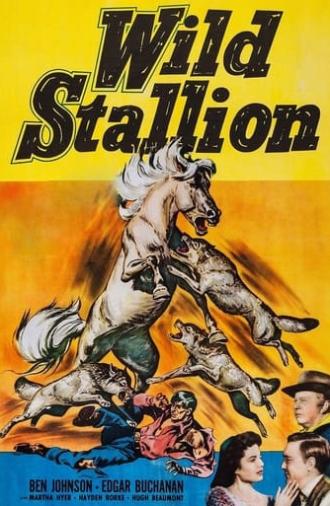 Wild Stallion (1952)