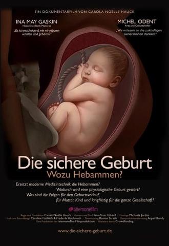 Die sichere Geburt (2017)