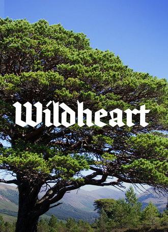 Wildheart (2023)