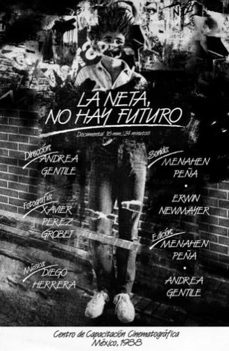 In Fact, There is not Future (1988)