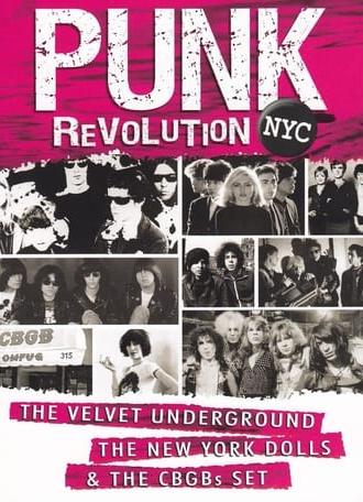 Punk Revolution NYC (2012)