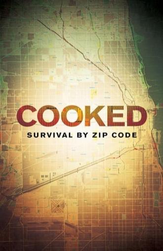 Cooked: Survival by Zip Code (2019)