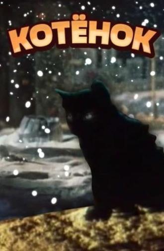 The Kitten (1979)