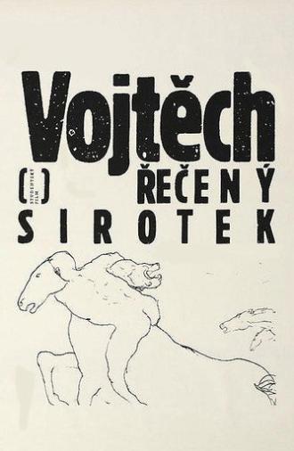 Vojtech, Called the Orphan (1990)