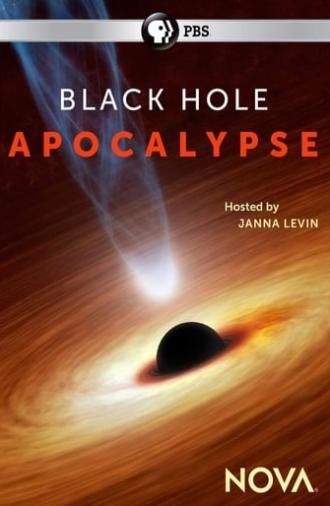 Black Hole Apocalypse (2018)