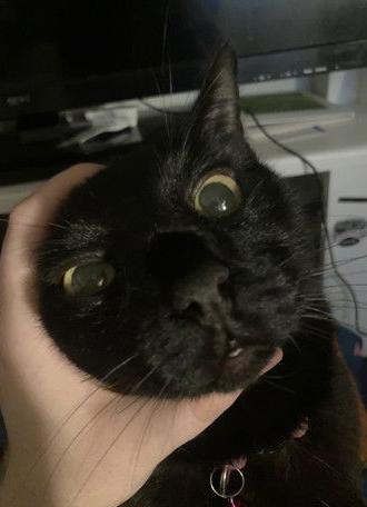 The Isle of the banished (2024)