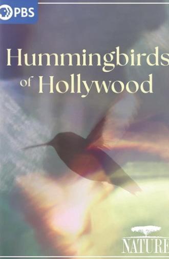 Hummingbirds of Hollywood (2025)