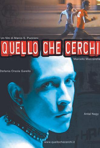 What Are You Looking For (2002)