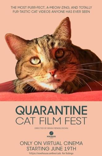 Quarantine Cat Film Festival (2020)