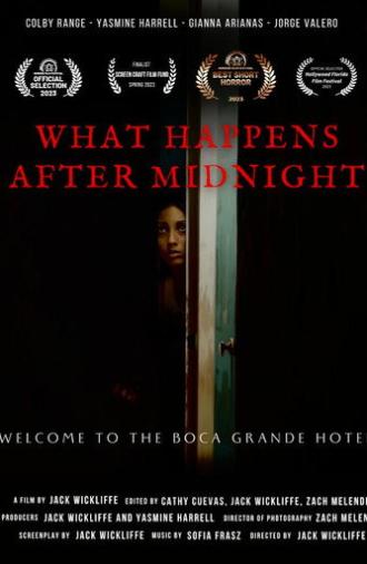 What Happens After Midnight (2024)