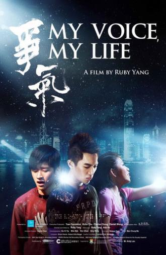 My Voice, My Life (2014)
