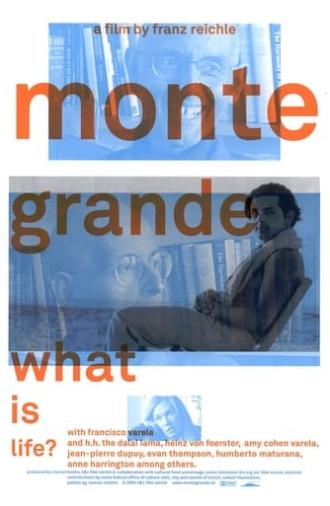 Monte Grande: What is Life? (2005)