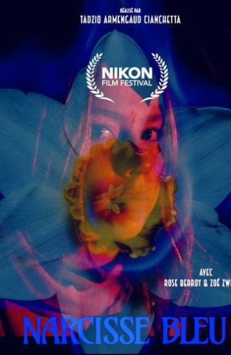 Narcisse bleu (2026)