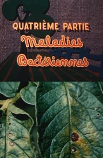 The Enemies of the Potato: Bacterial Diseases (1949)