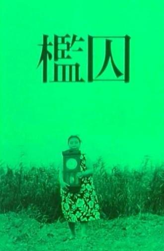 The Cage (1964)