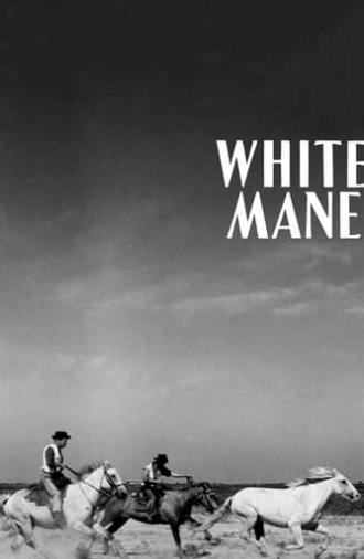 White Mane (1953)