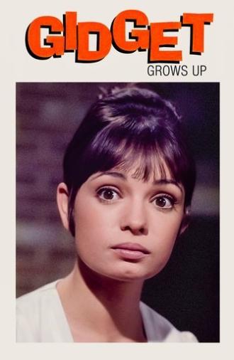 Gidget Grows Up (1969)