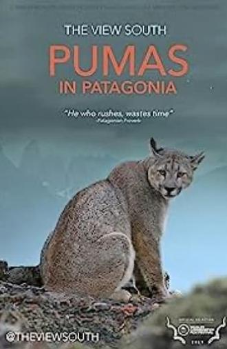 Pumas in Patagonia (2019)