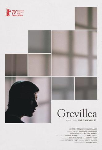 Grevillea (2020)