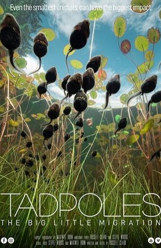 Tadpoles: The Big Little Migration (2020)