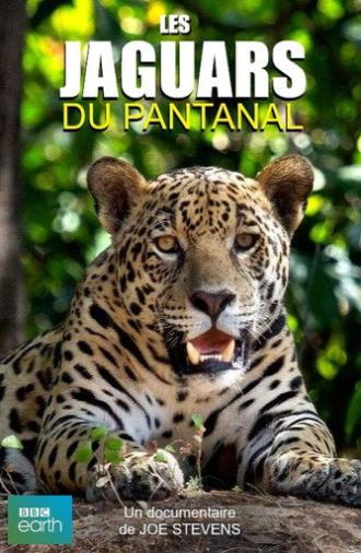 Jaguars of the Pantanal (2016)