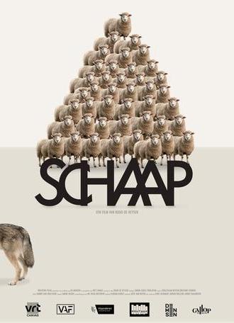 Sheep (2025)
