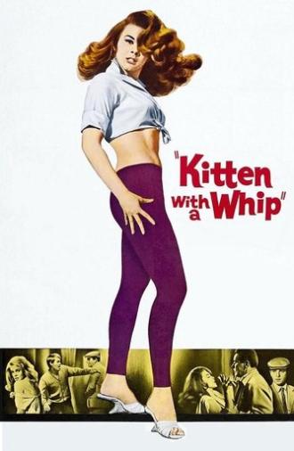 Kitten with a Whip (1964)