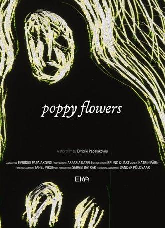 Poppy Flowers (2024)