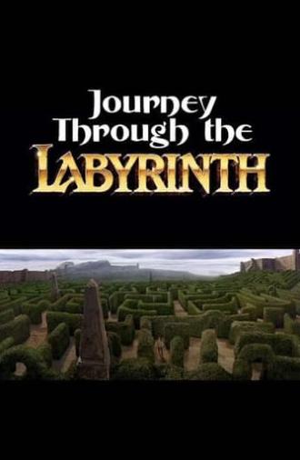 Journey Through the Labyrinth (2007)
