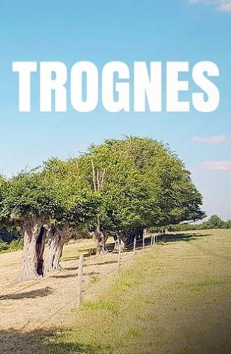 Trognes, les arbres aux mille visages (2019)