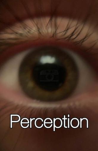 Perception (2025)