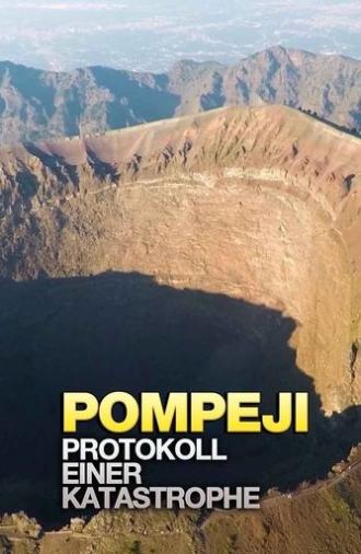 Le récit d’une catastrophe : Pompéi (2020)