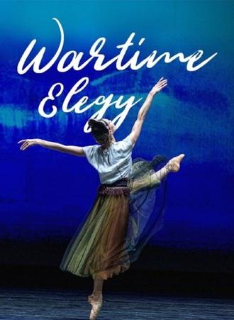 Wartime Elegy - Une soirée de ballet à l'Opéra national d'Ukraine (2024)