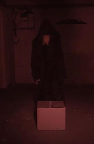 The Box Cult (2024)