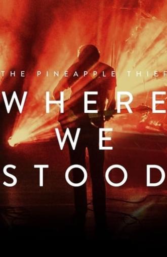 The Pineapple Thief: Where We Stood (2017)