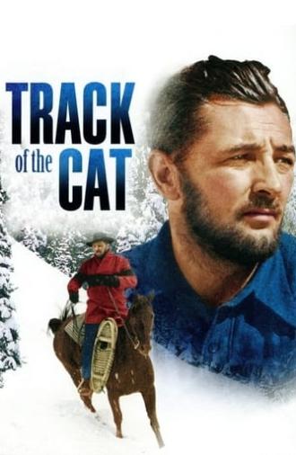 Track of the Cat (1954)